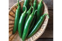 Santo Domingo Serrano