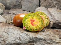 Everett's Rusty Oxheart