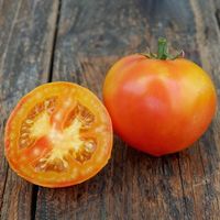 Mai Tai (Saved Seed)