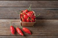 Hot Paper Lantern Habanero